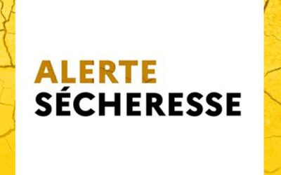 #Sécheresse : économisons l’eau