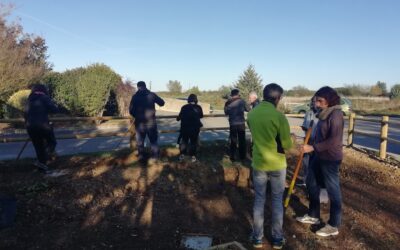 #3 ateliers “jardin” en mars