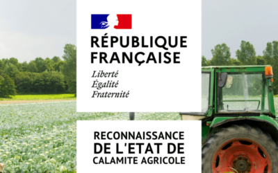 #Calamités agricoles orages 2023